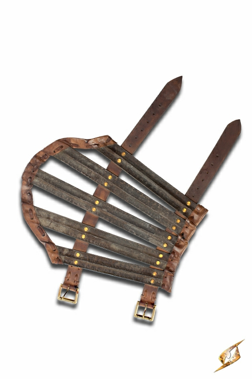 Wikinger Armschienen M/L